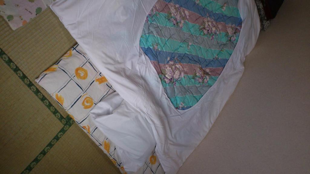 New Hakuginso Hotel NakaNakafurano Kamer foto